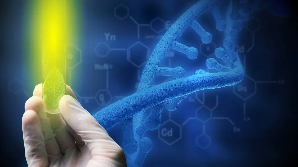 Symbolische Darstellung der Laser-induzierten Fluoreszenz (LIF): Hand mit Reagenzglas, gelber Lichtstrahl, DNA-Hintergrund.